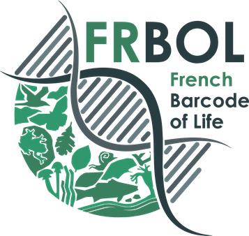 Logo FRBOL